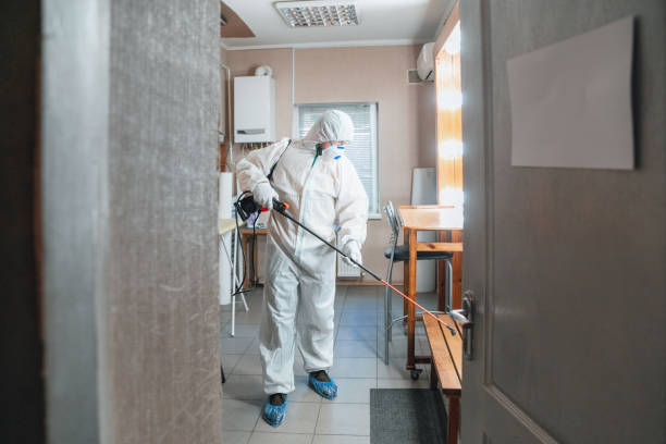  Arial, SC Mold Removal Pros