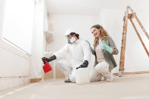 Best Environmental Consulting for Mold Prevention  in Arial, SC