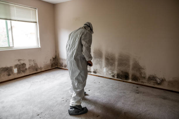 Best Industrial Mold Remediation  in Arial, SC